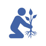 Trees Planted